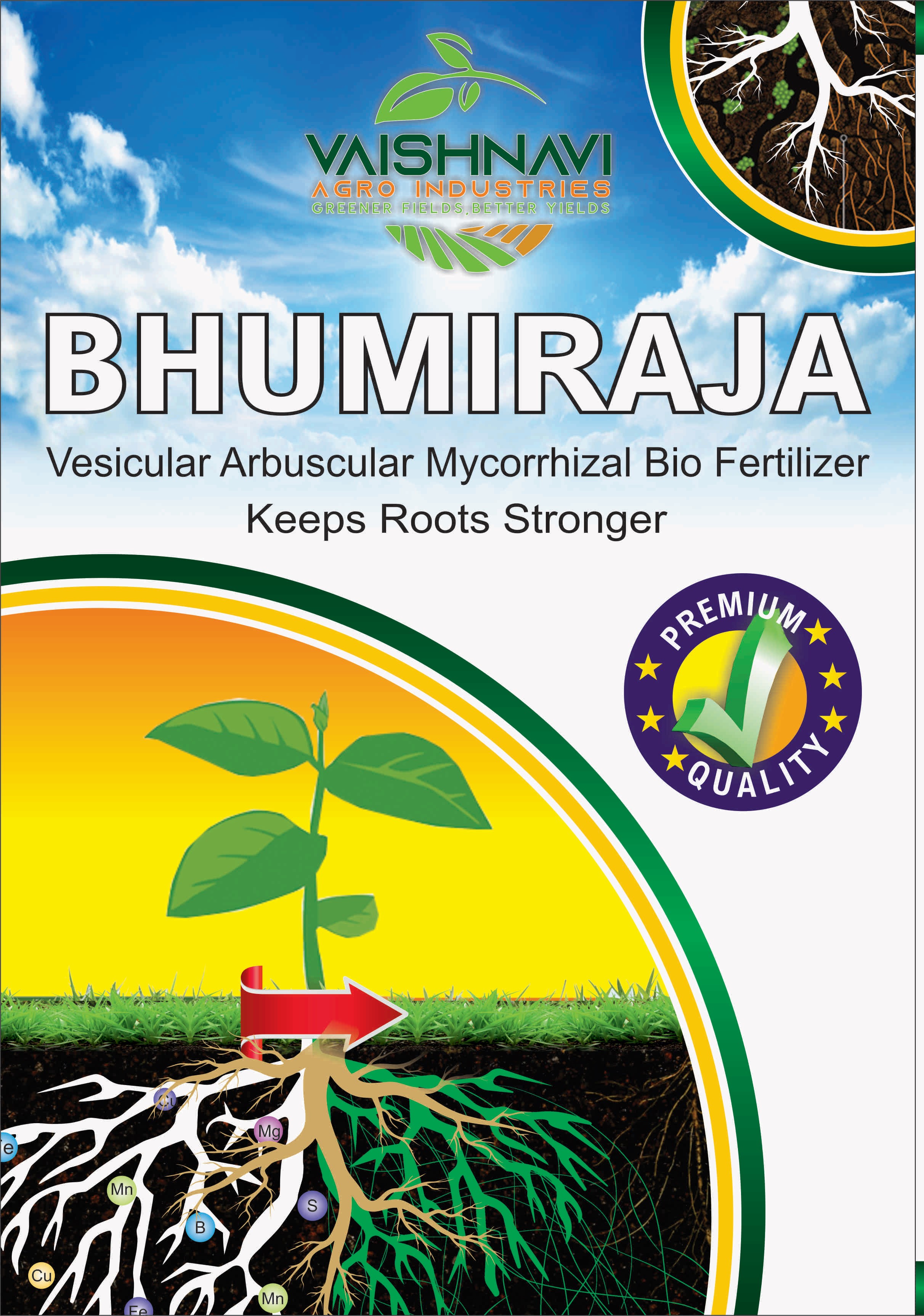 Bhumiraja